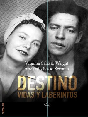 cover image of Destino